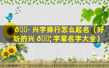 🕷 兴字排行怎么起名（好听的兴 🐦 字辈名字大全）